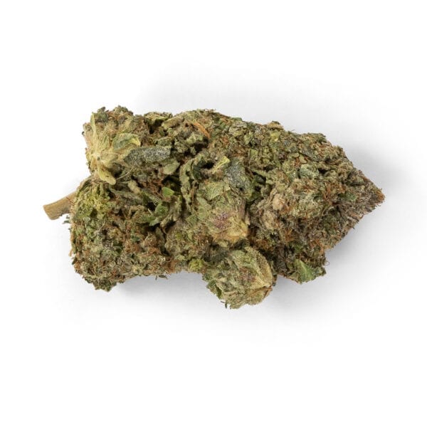 Comatose Indica Strain