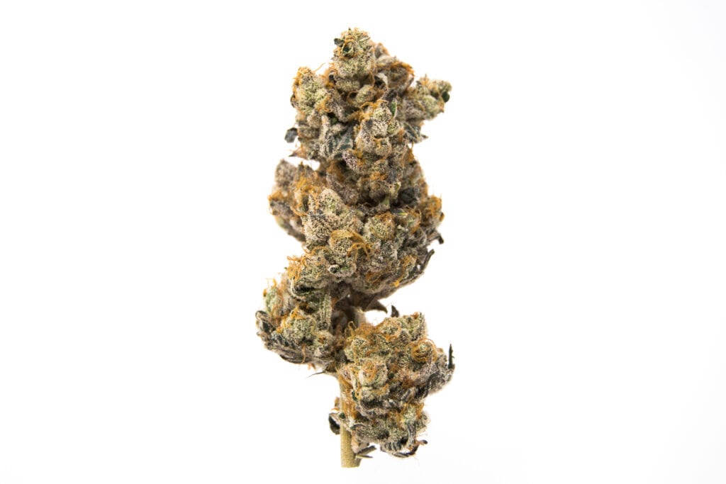 Order Tropicana Melon Smash Strain | Shipping Across Canada - The