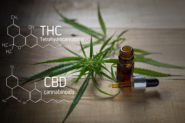 learn what is the difference between CBD and THC, will help you know how to choose the product