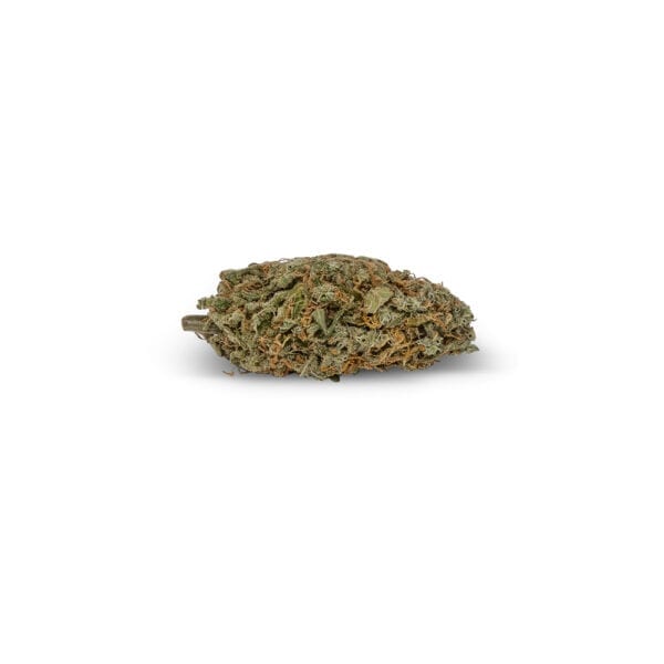 Buy weed online Astro Pink budget buds. Langley Dispensary