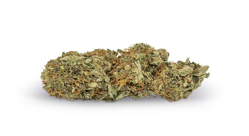 Gelato weed online, budget buds, low price buds, CheapWeed