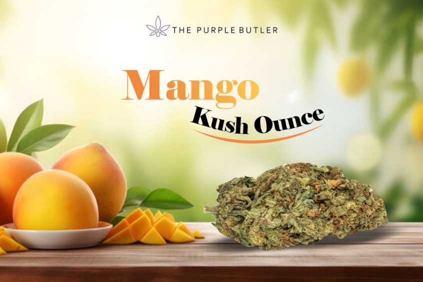 Delight of Mango Kush