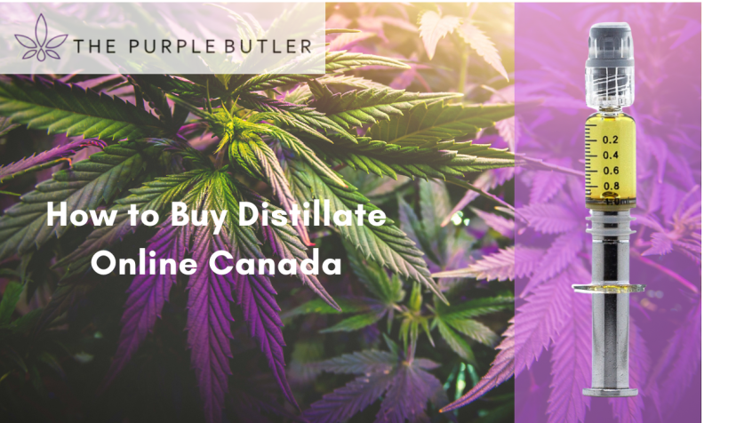 How to buy distillate online Canada